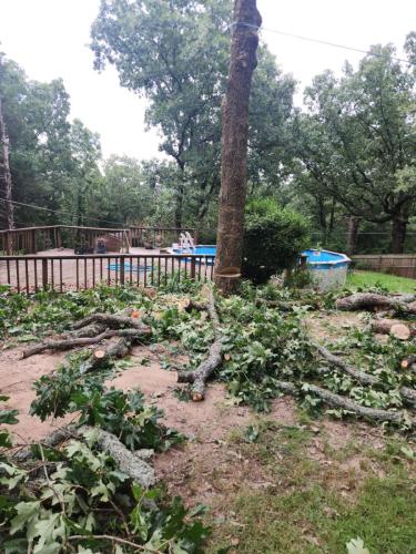 Tree-Services-In-Little-Rock-AR 002